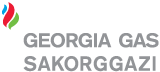 Georgia Gas Sakorggazi